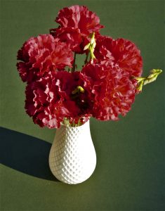 3D printed flower vase